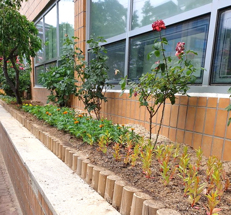 안산시 사동에 여름꽃 향기가 솔솔