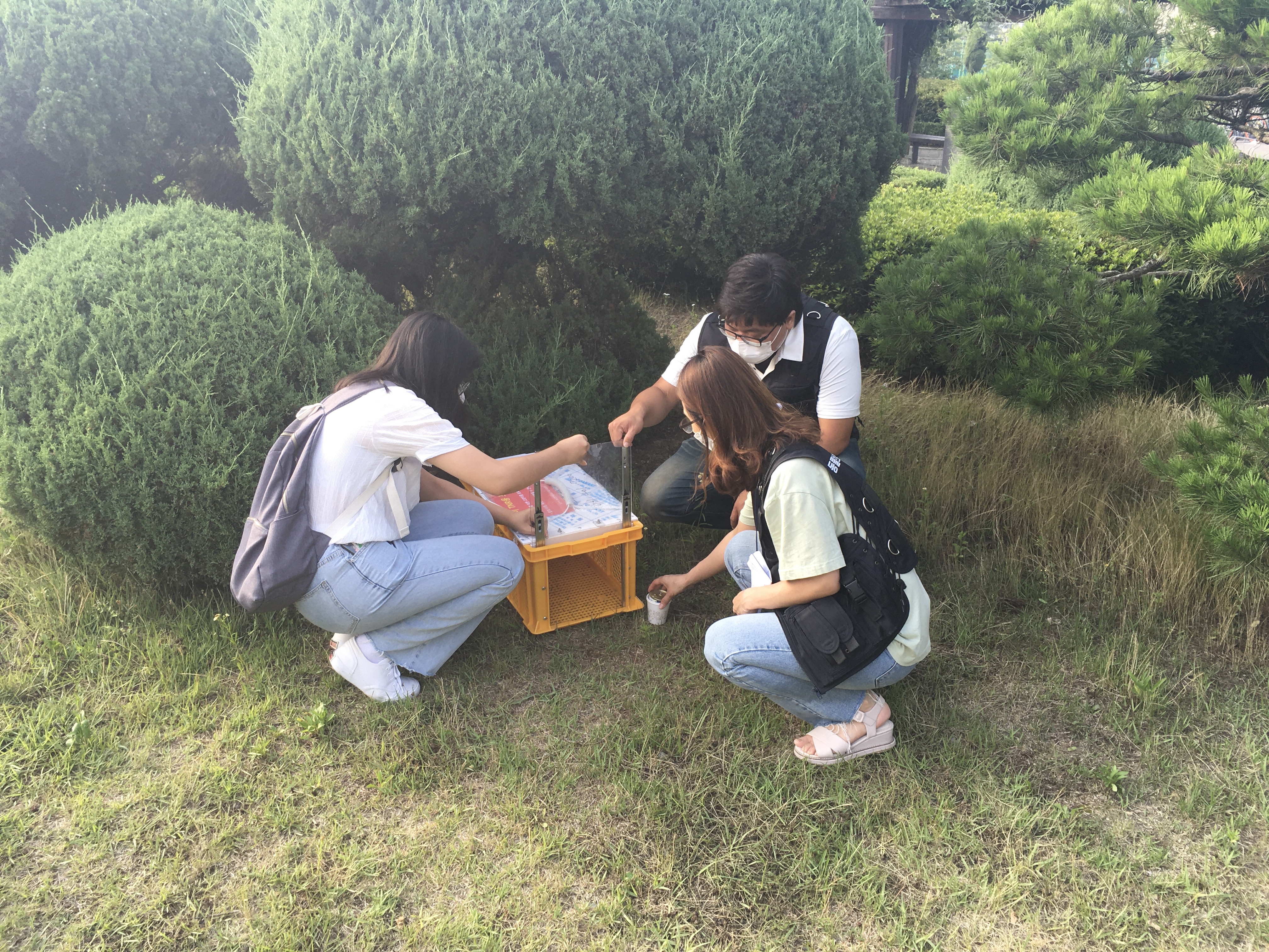 안산시, ‘찾아가는 길고양이 중성화사업’ 실시