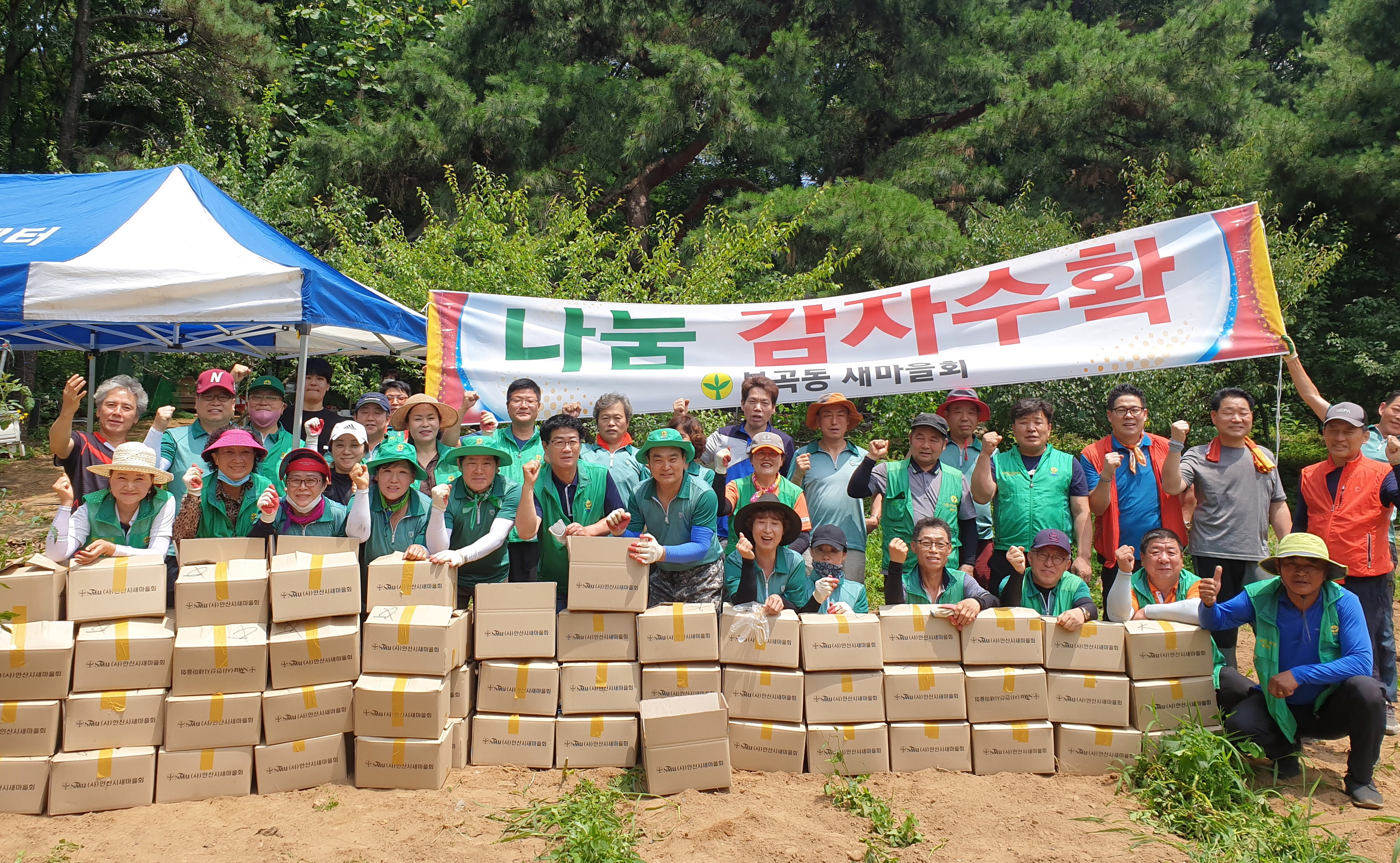 안산시 부곡동 새마을회, 사랑의 감자 수확