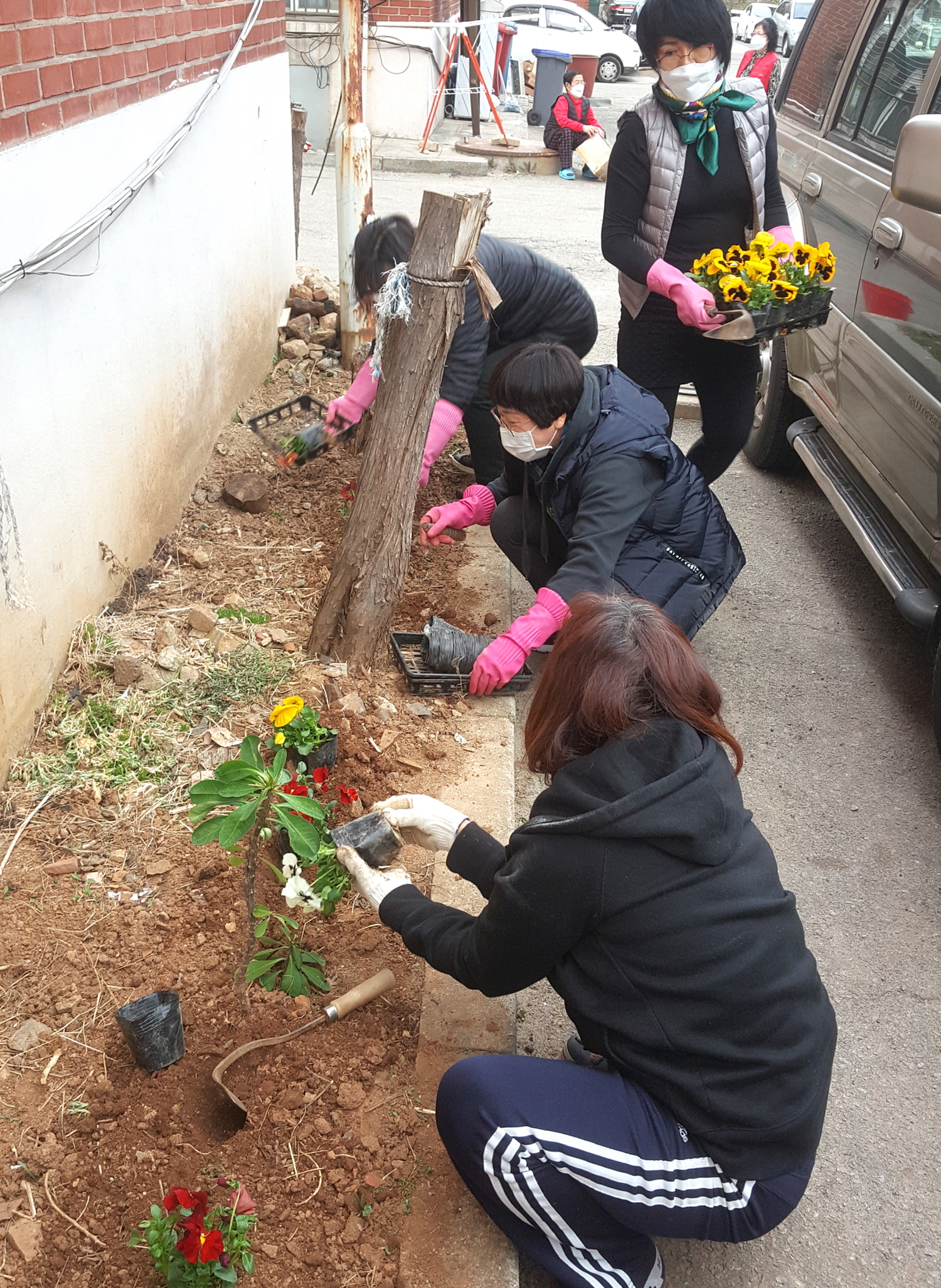 선부1동 마을만들기, 내집앞 화단 봄꽃 식재