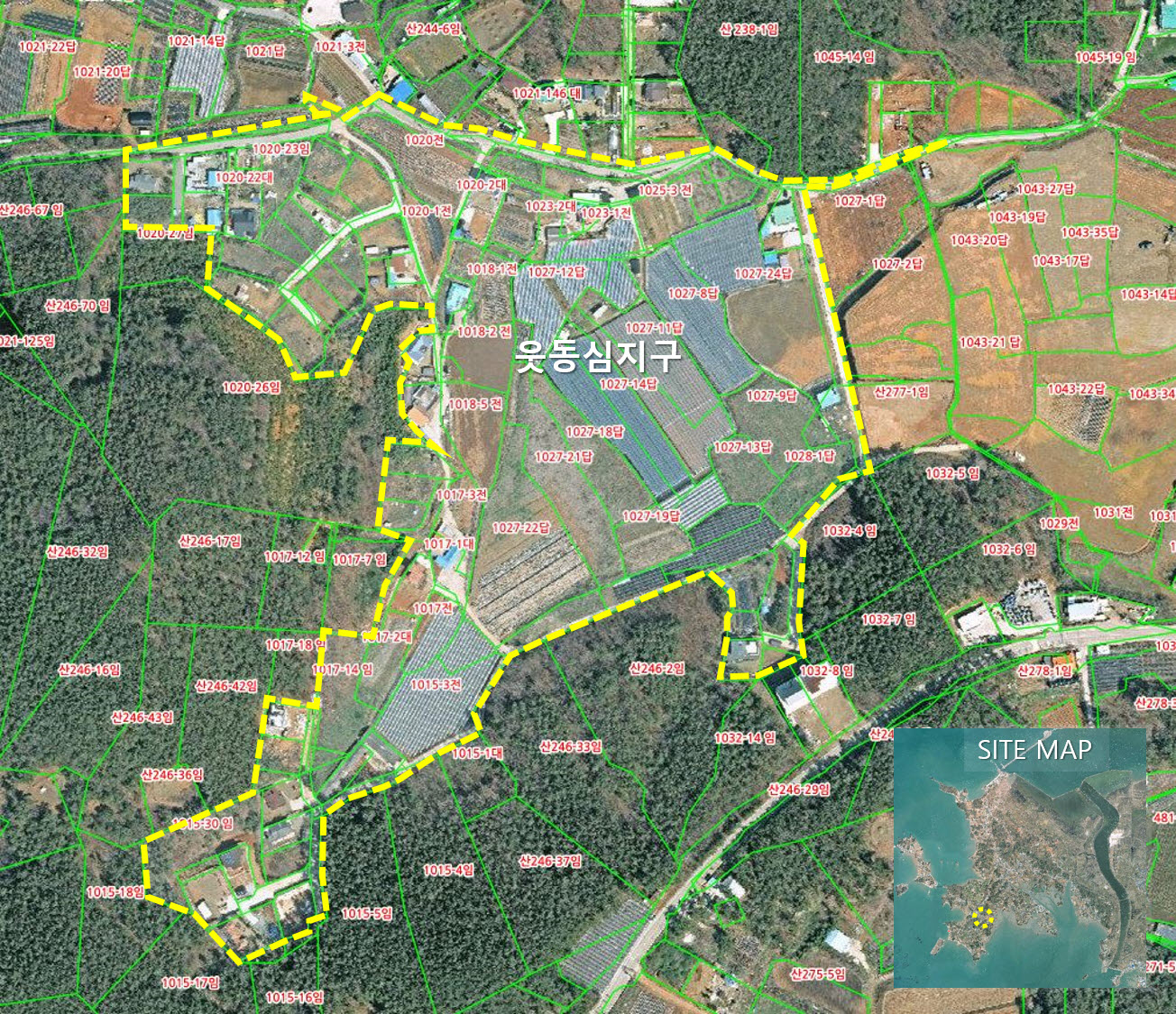 안산시 단원구, 대부남동 웃동심지구 지적재조사 측량 실시