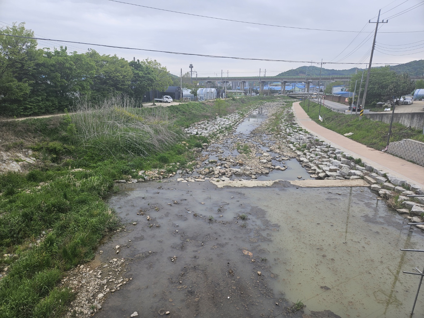 안산시 반월천, 환경부 주관 수생태계 연속성 확보 시범사업 공모 선정