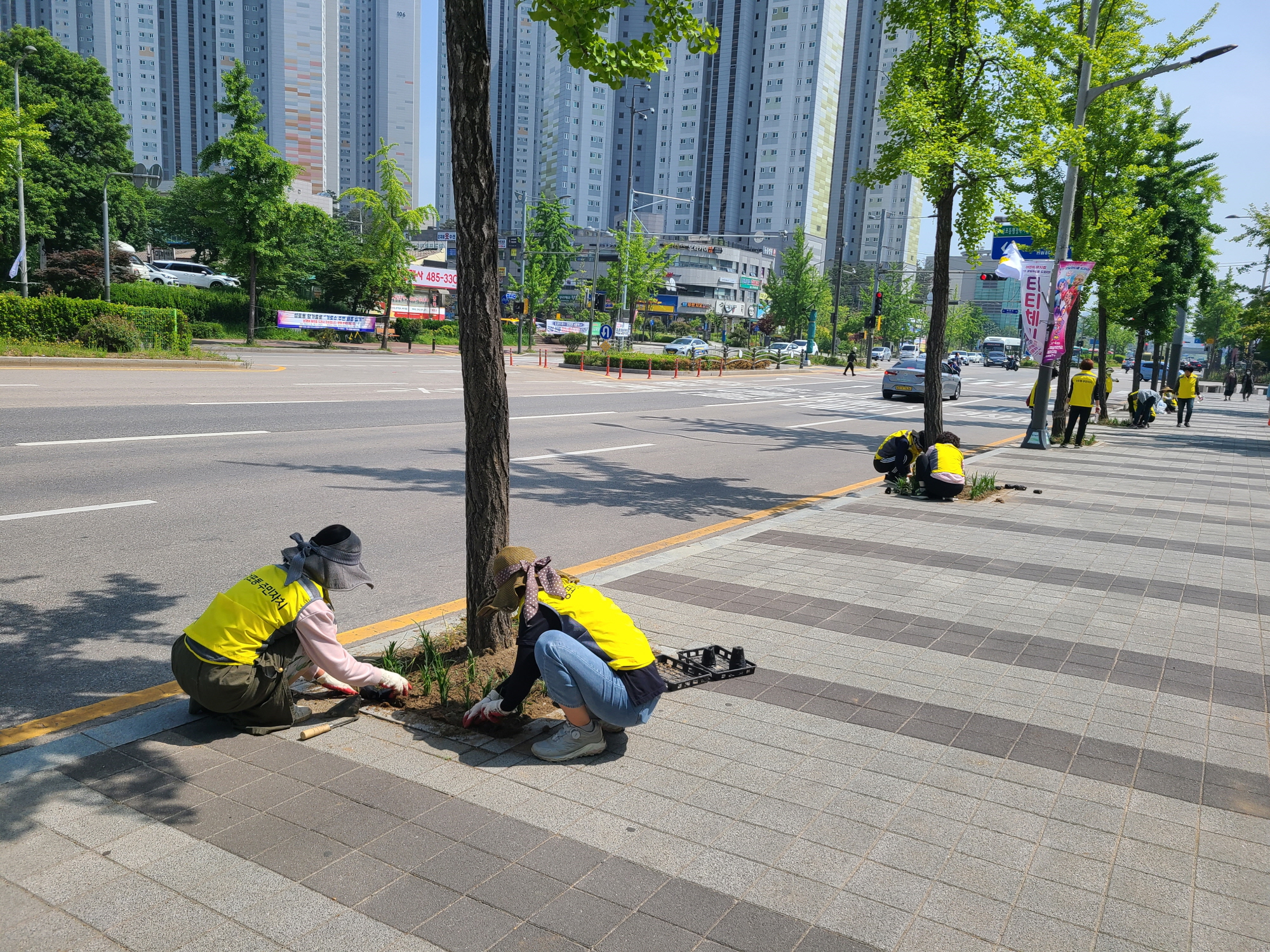 안산시 성포동 주민자치회, 항가울로 일대 맥문동 3천본 식재