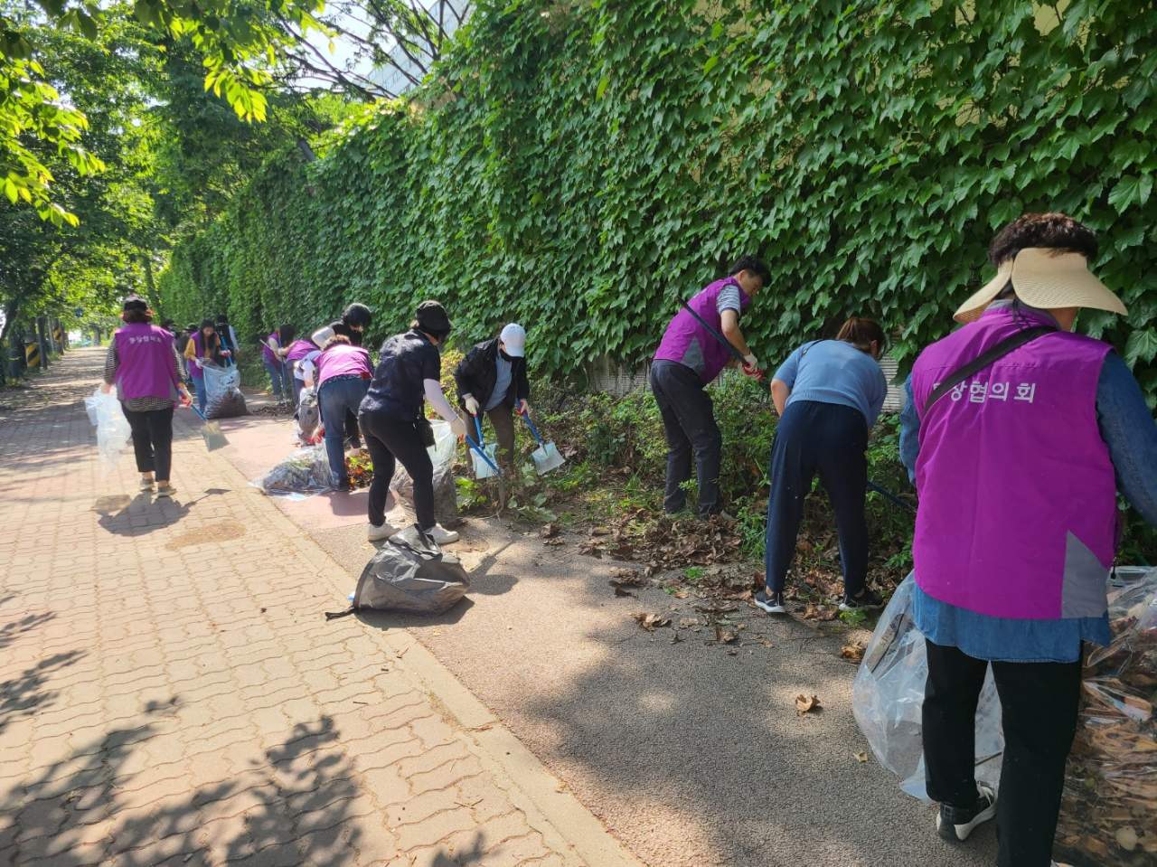 안산시 사이동, 여름철 풍수해 대비 환경정비