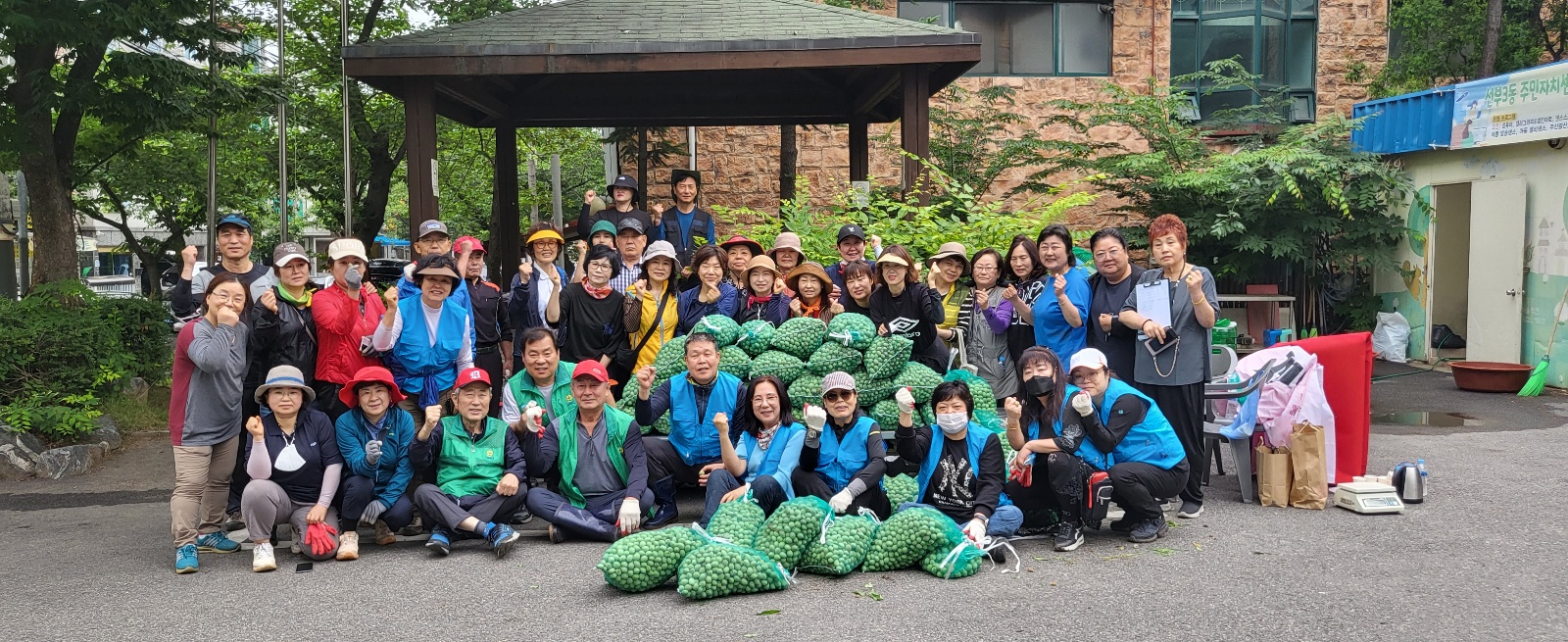 안산시 선부3동 주민자치회, 개복숭아 수확 행사 개최