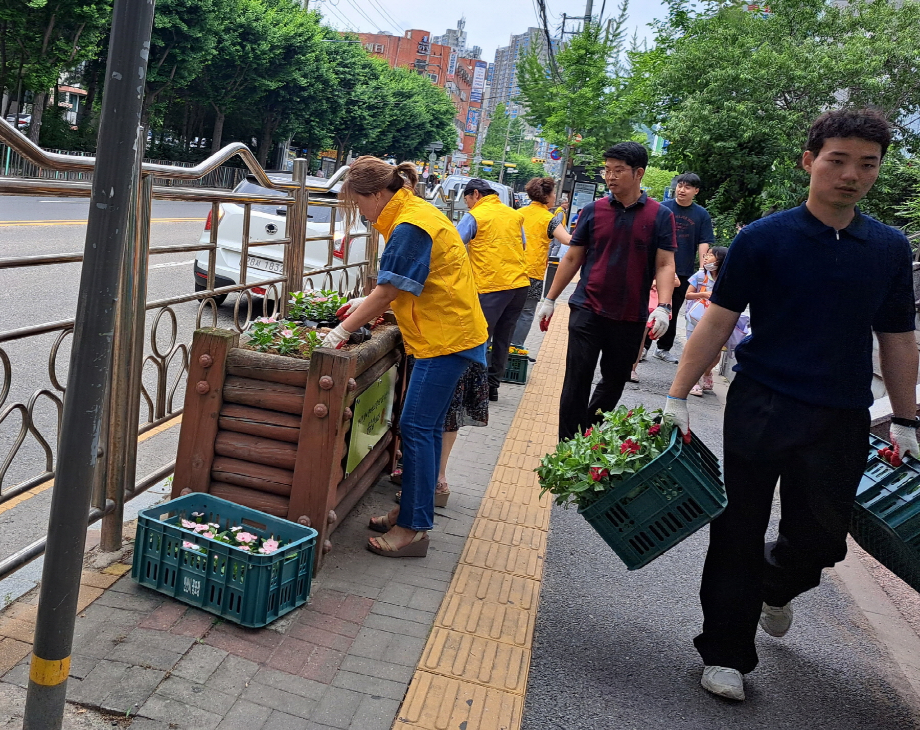 안산시 중앙동 주민자치회, 예술대학로 여름꽃 식재
