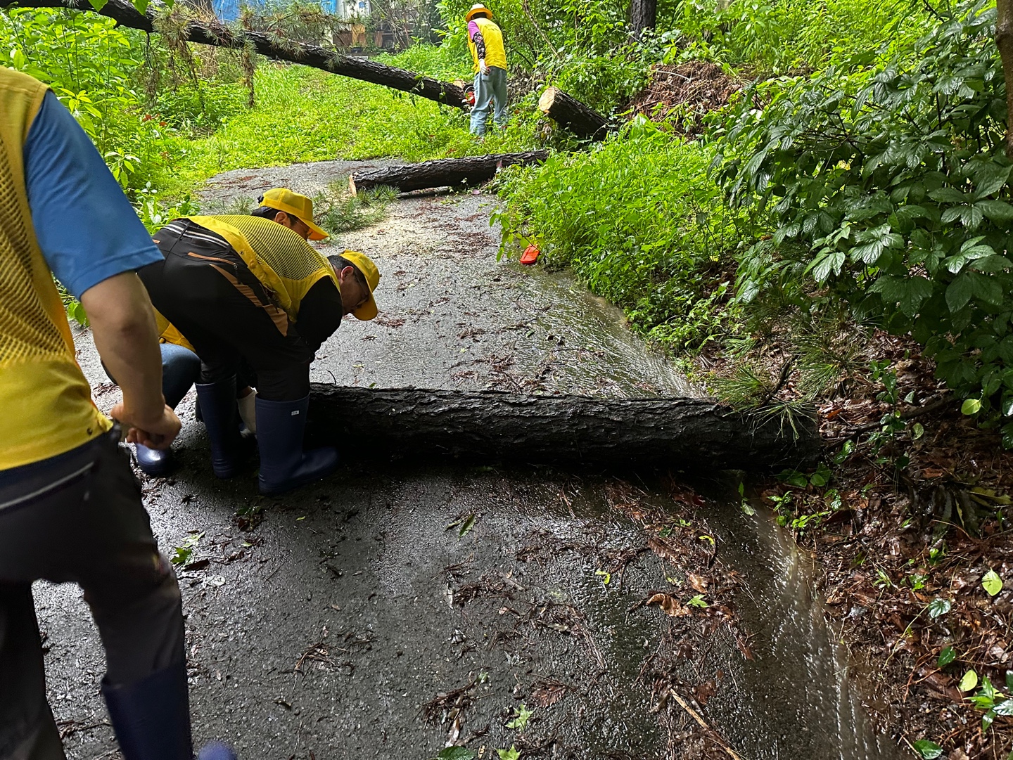 든든한 우리동네 지킴이 ‘안산시 일동 행복마을관리소’