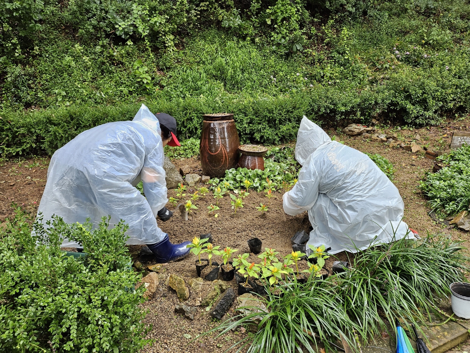 안산시 고잔동-안산도시공사, 추석맞이 환경정화활동 실시