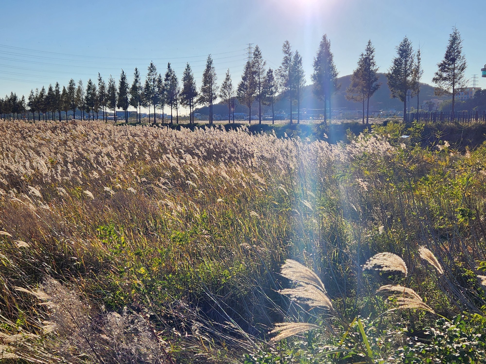 안산시,‘대부바다향기테마파크’용도 확대… 예술품 전시 가능해진다