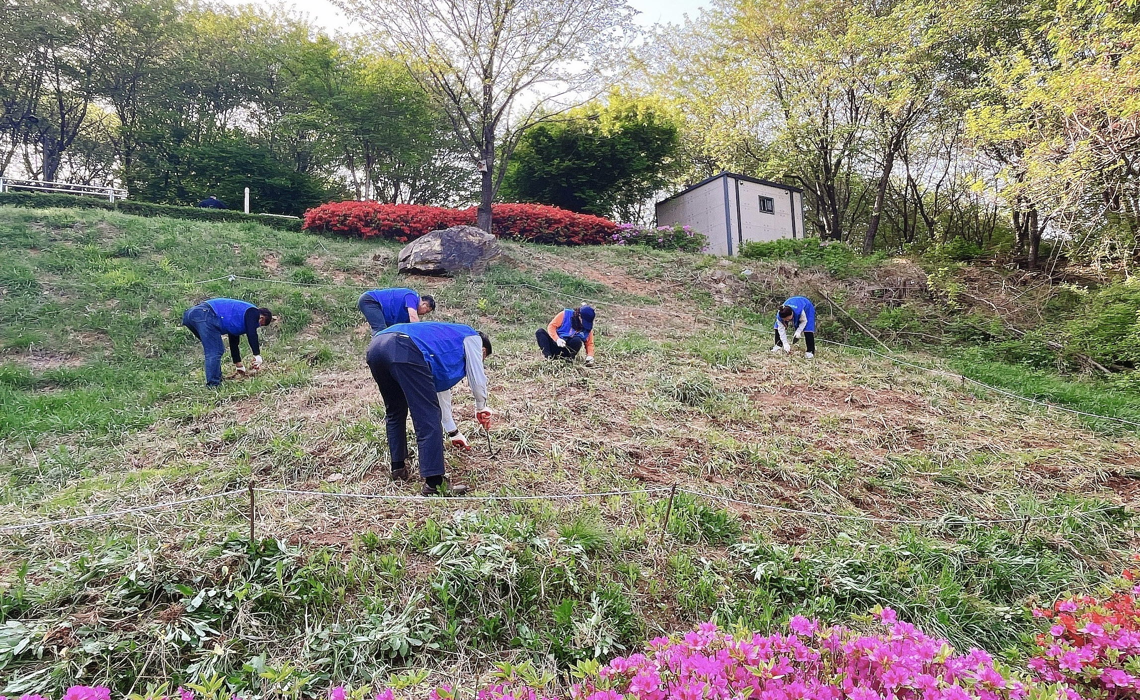 환경을 생각하는 선부2동 주민자치회, 샛터공원의 지속 가능한 변화