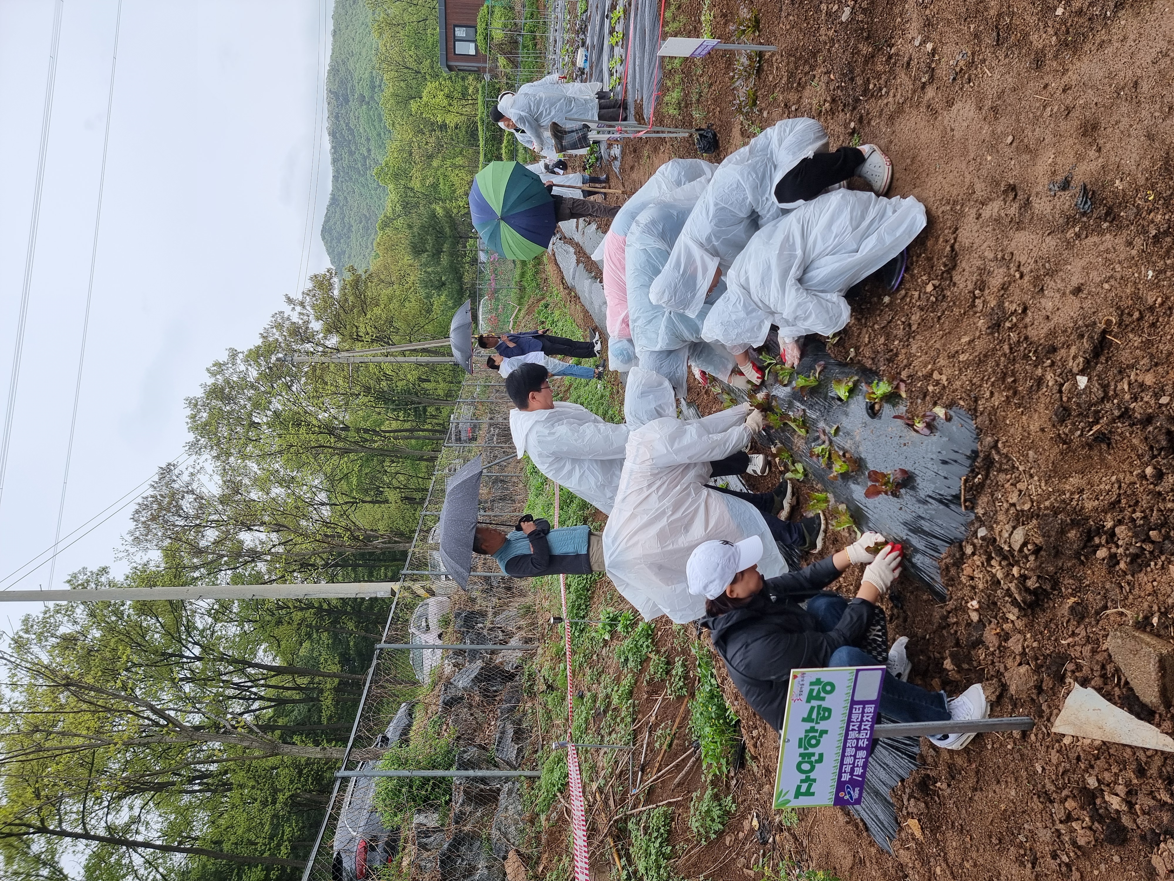 안산시 부곡동, 주말농장 개장식 성료