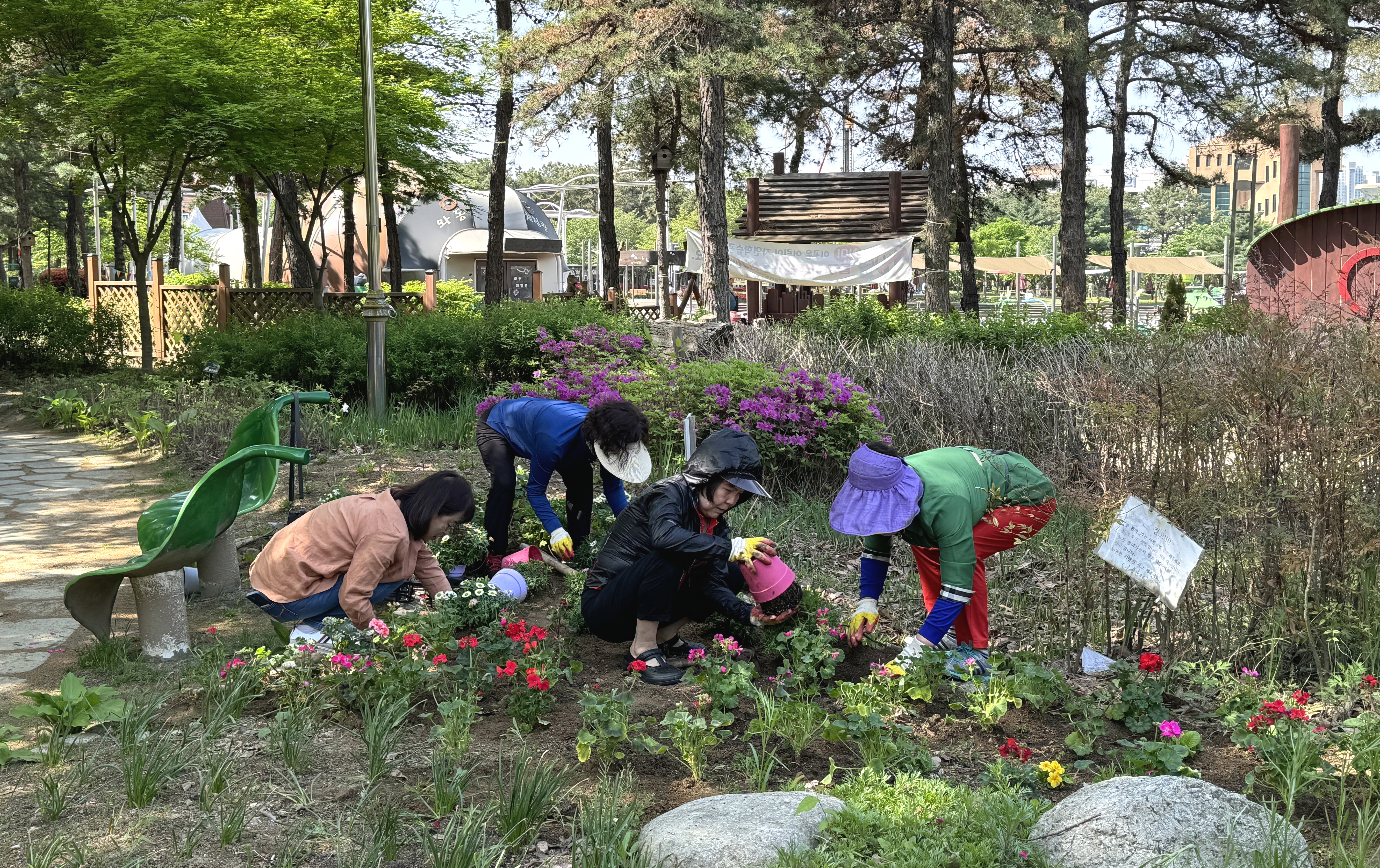 안산시 와동, 와리정원에 봄꽃 식재