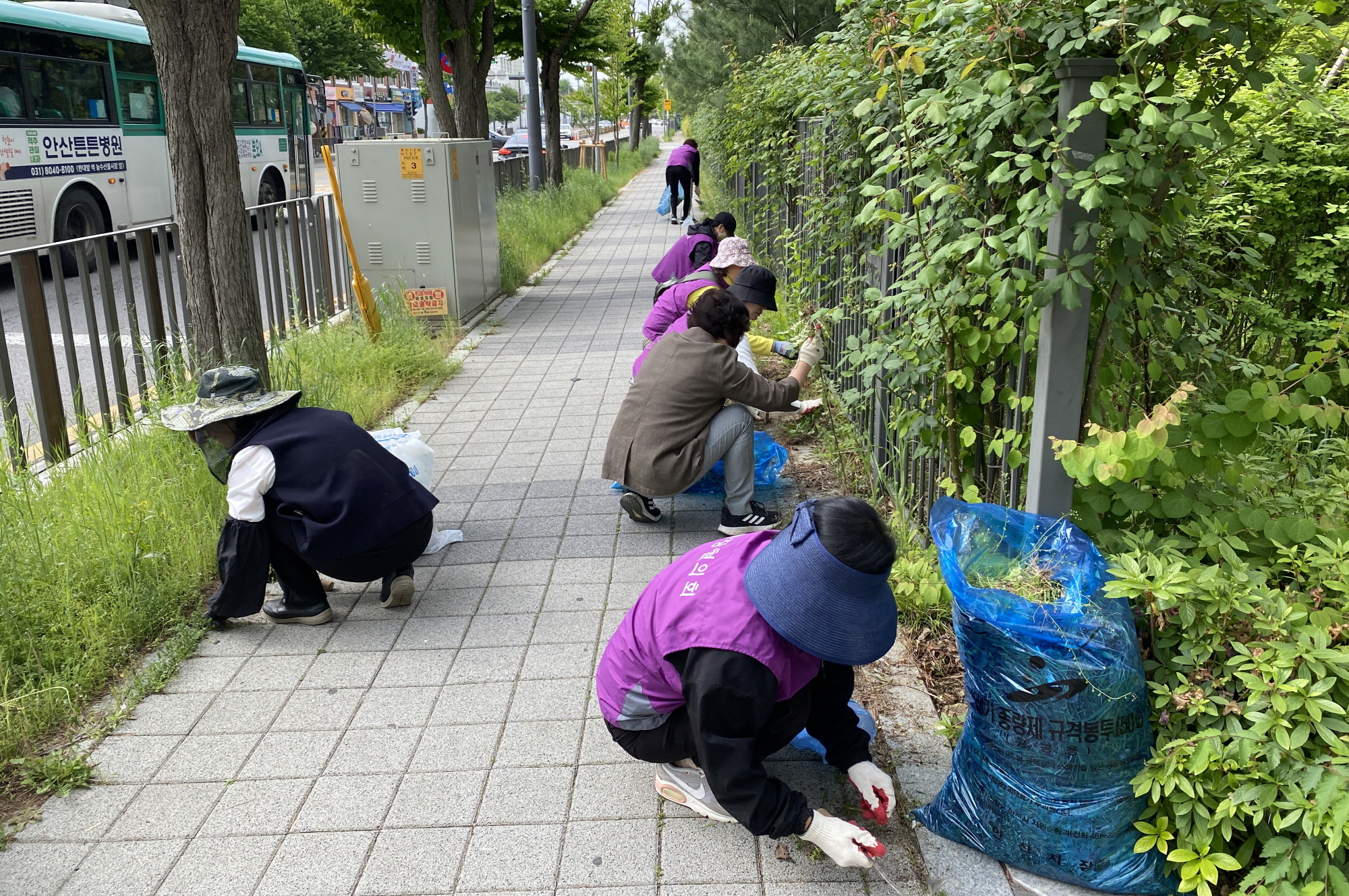 안산시 성포동 통장협의회, 축제 앞두고 환경정화활동