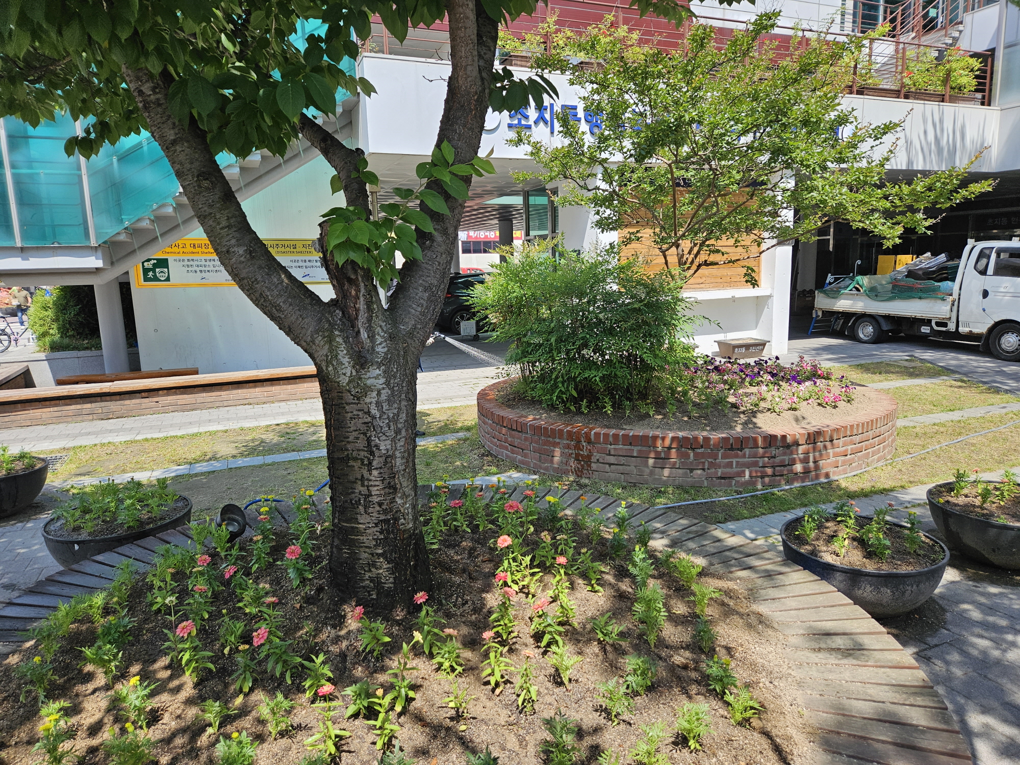 안산시 초지동, 여름꽃으로 화사하게 단장