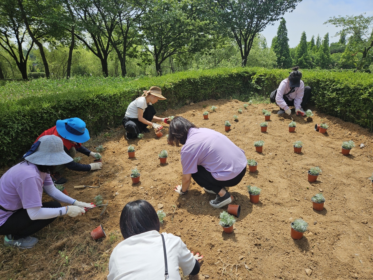 안산시 호수동 체육회, 호수동 둘레길 꽃밭 조성
