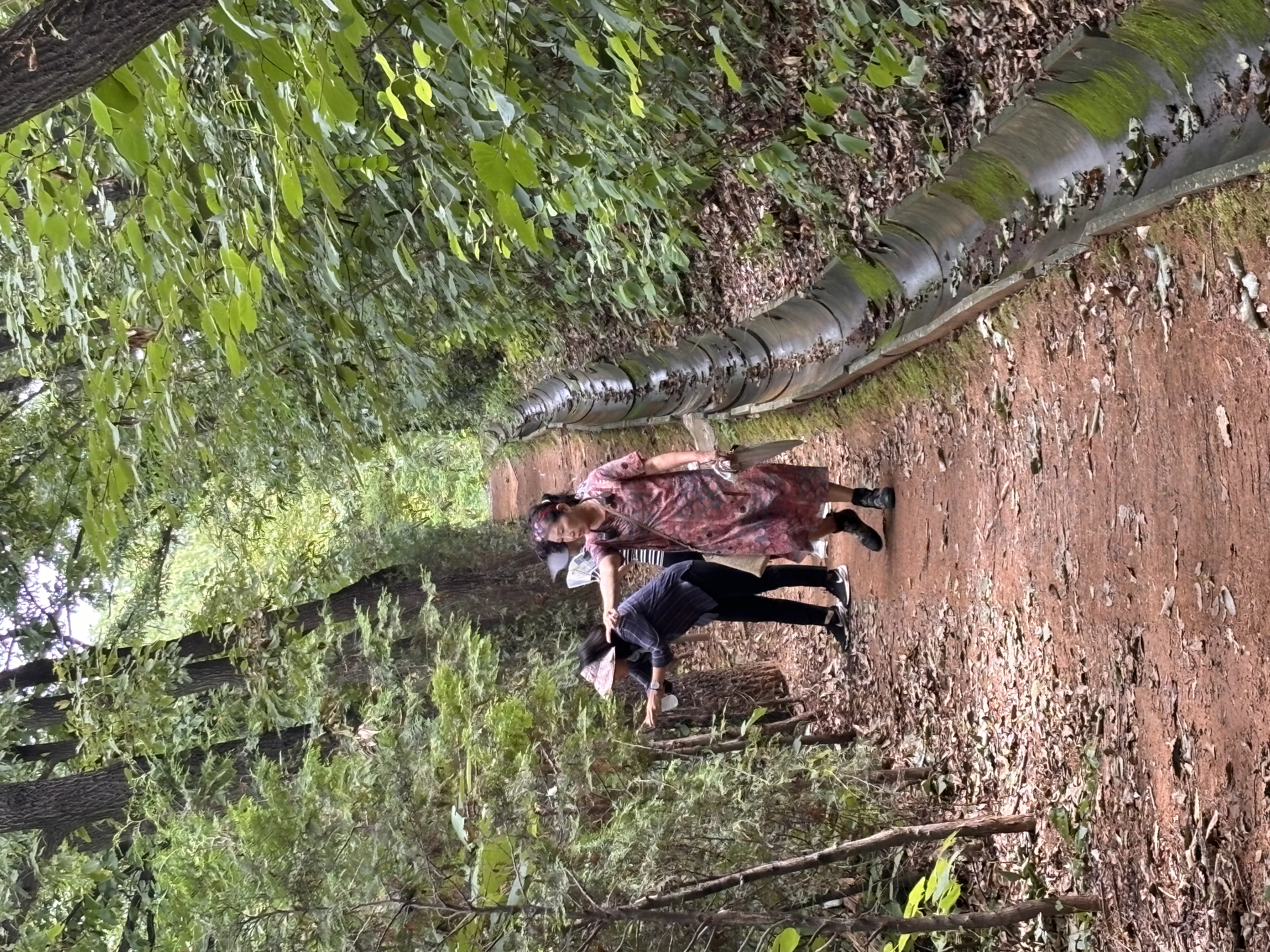 안산시 선부1동, 현장에서 답을 찾는다… 공원 현장스케치 시행