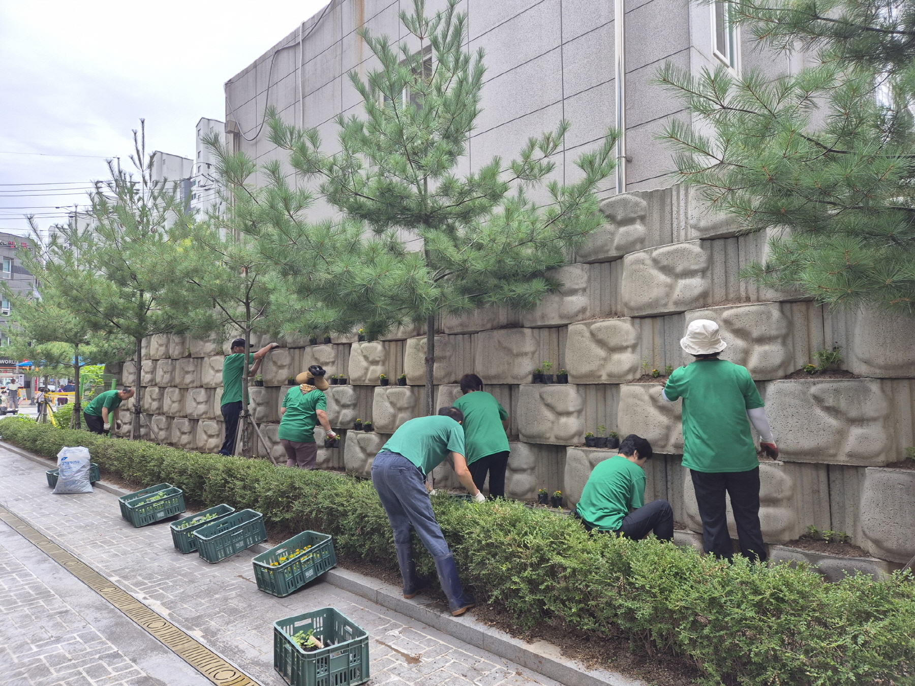 안산시 백운동 새마을회, 알록달록 꽃 화단 조성