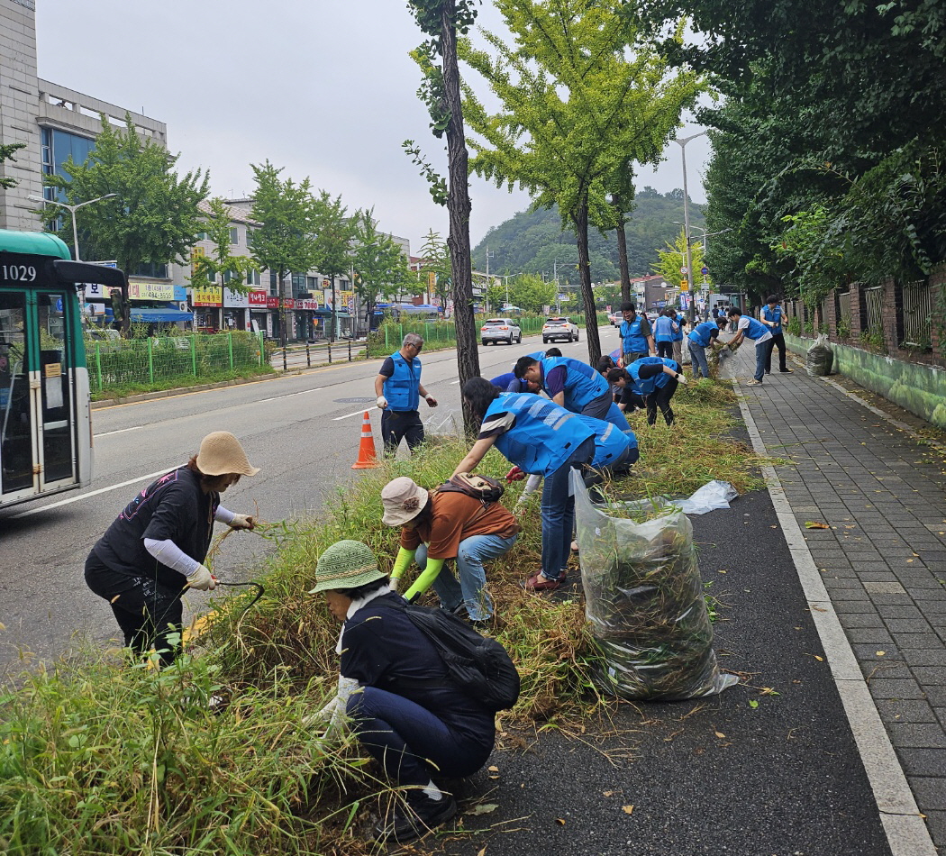 안산시 고잔동, 추석맞이 환경 정비 및 가을꽃 식재