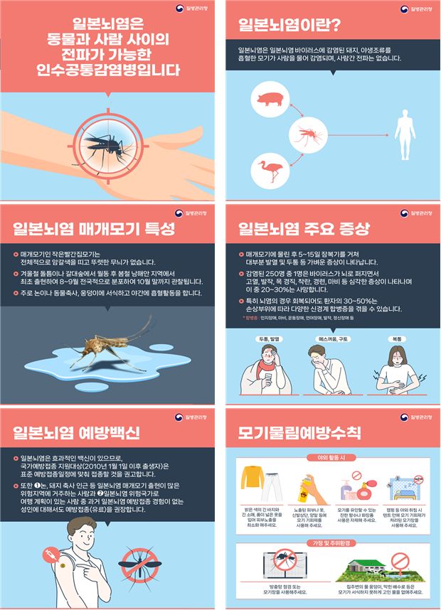 안산시, 가을철 일본뇌염 모기 물림 주의 당부… 예방수칙 준수해야