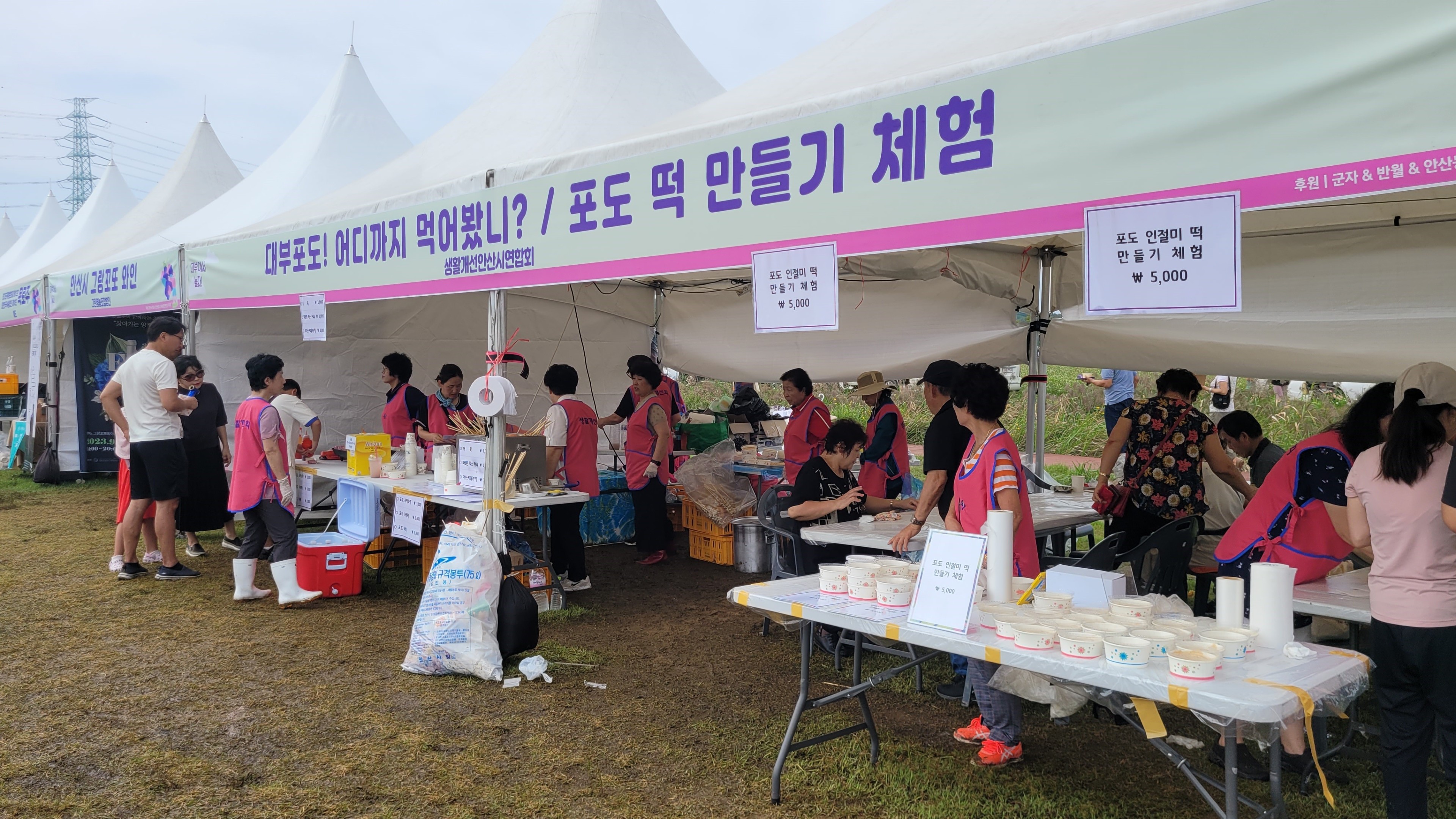 “9월의 마지막 주말, 대부도에서 즐기자”대부포도축제 개막 D-3