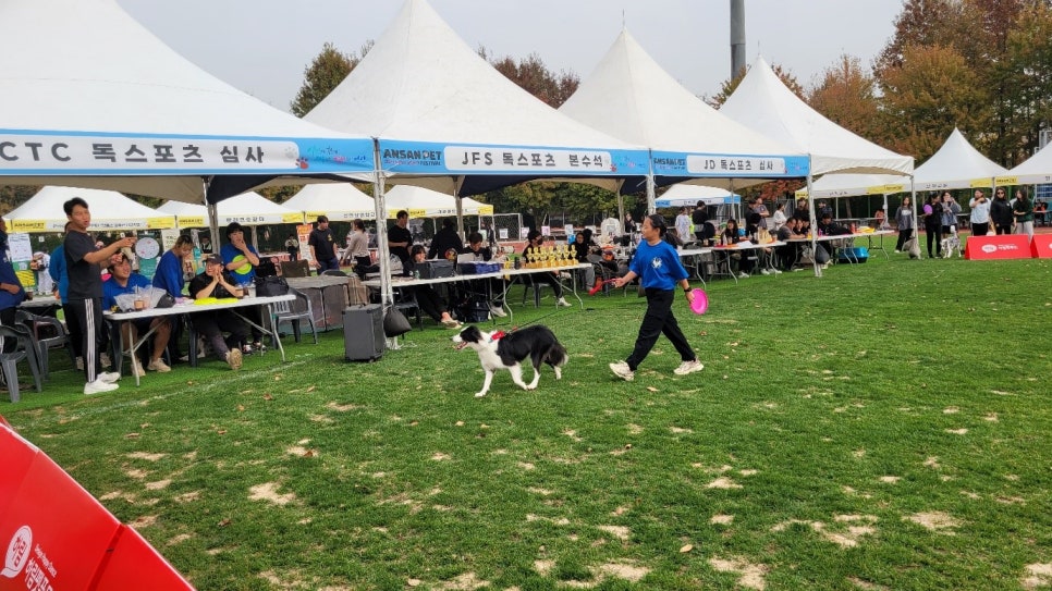 안산시, 2024 안산 펫 페스티벌 개최…“반려동물과 놀러오세요”