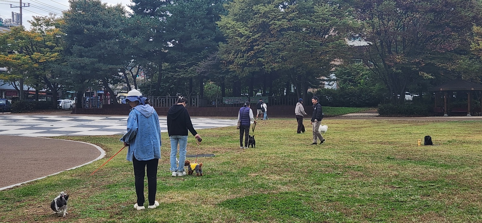 안산시 부곡동 주민자치회, 반려견과 함께하는‘펫티켓’교육 성료