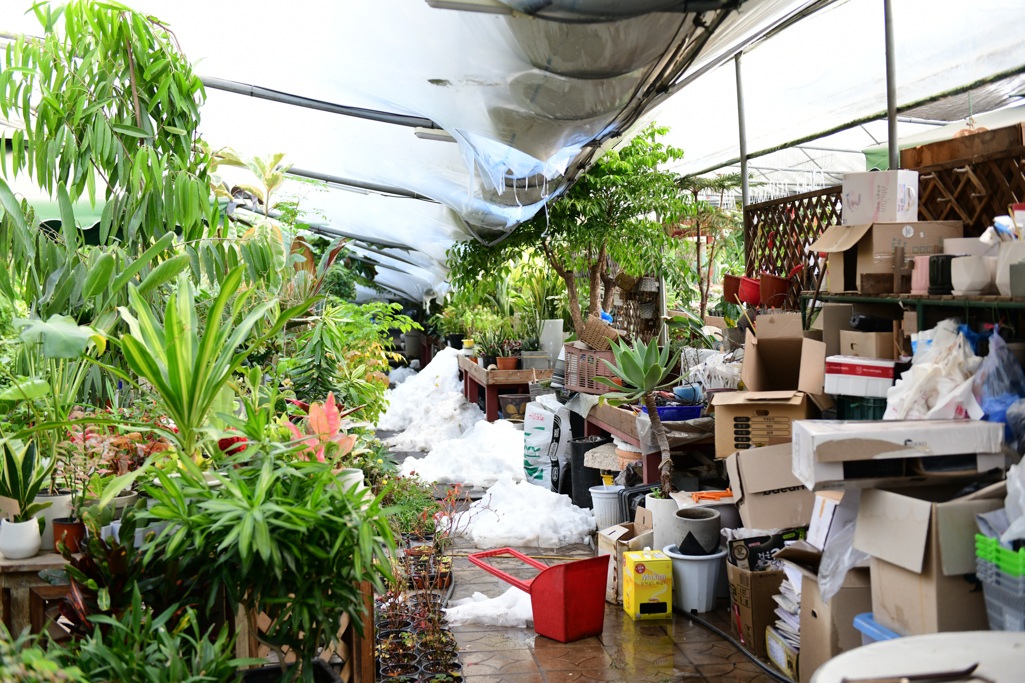 이민근 안산시장, 이동꽃마을 폭설 피해 현장 점검…“주말까지 제설 총력”