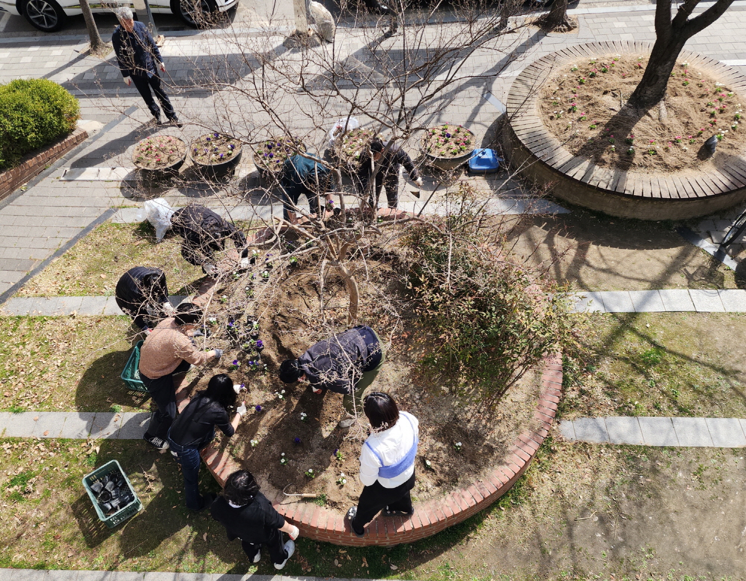 안산시 초지동, 봄 내음 만끽하세요