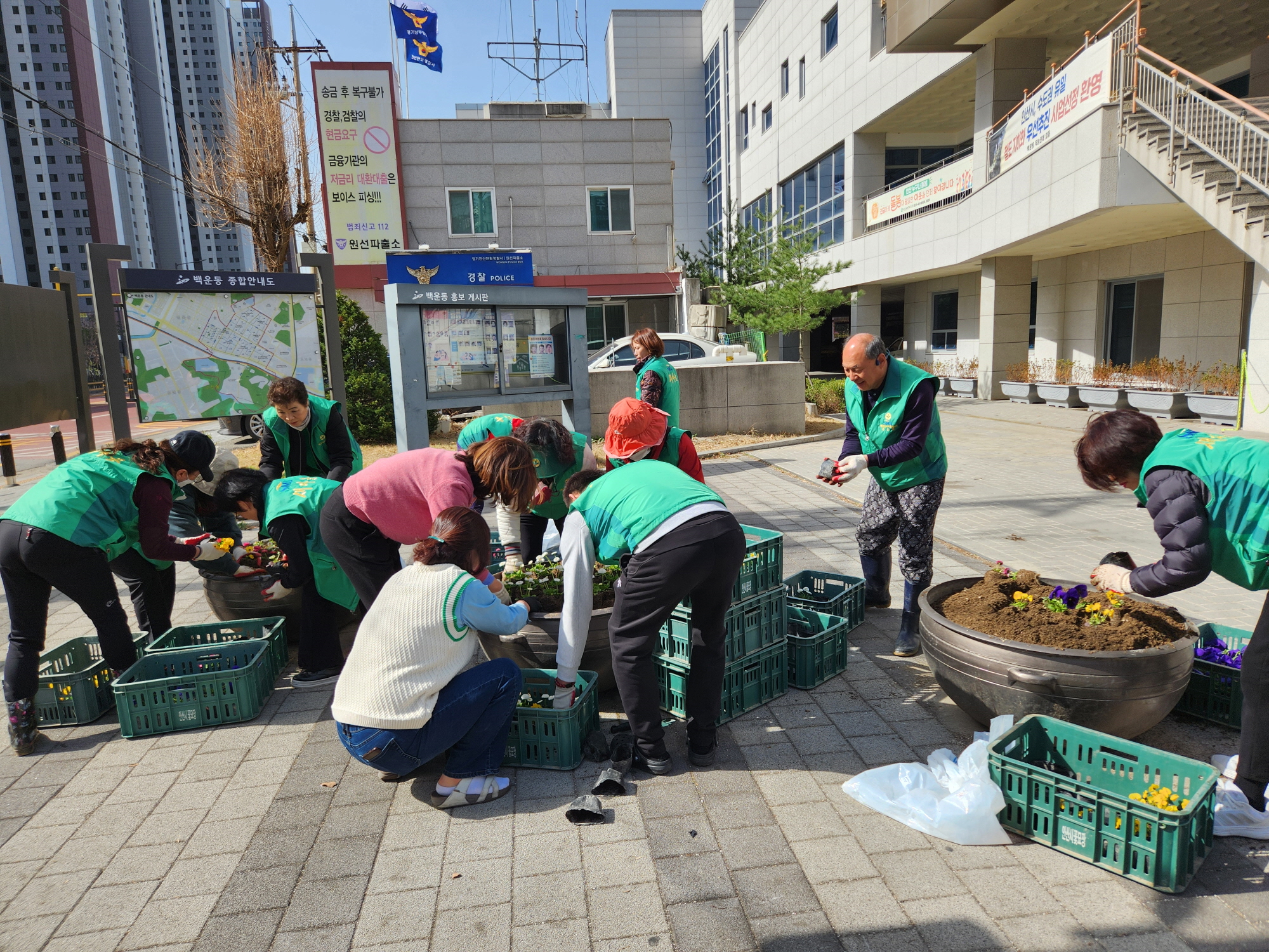 안산시 백운동 새마을회, 알록달록 봄꽃 화단 조성