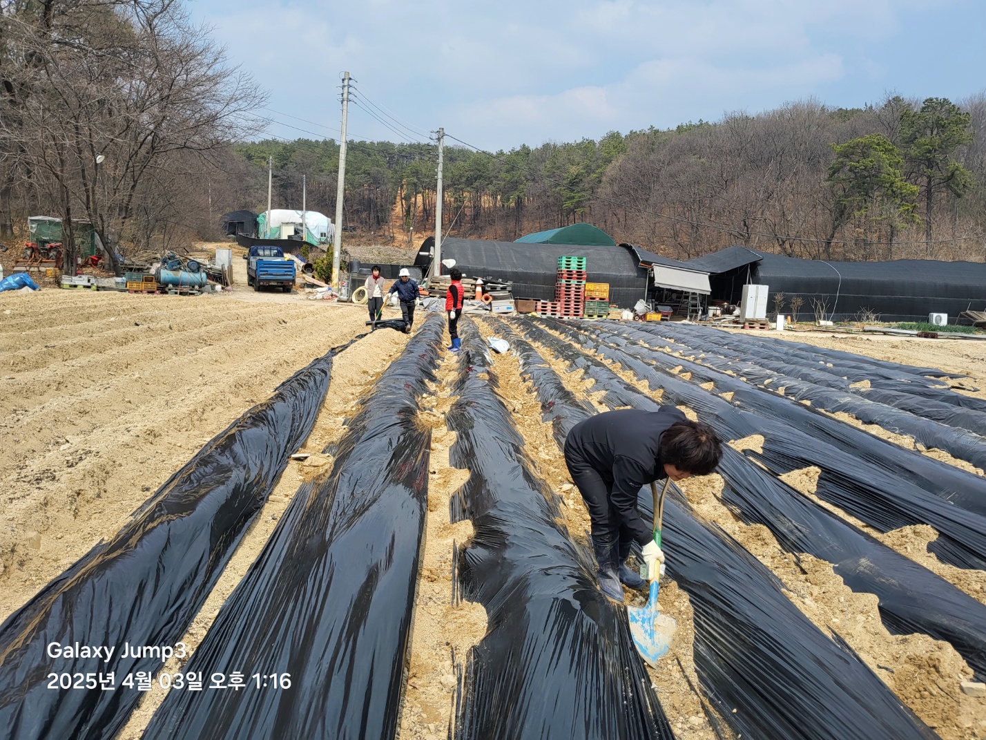 안산시 성포동 바르게살기위원회, 돌봄 나눔 및 감자 재배 봉사활동