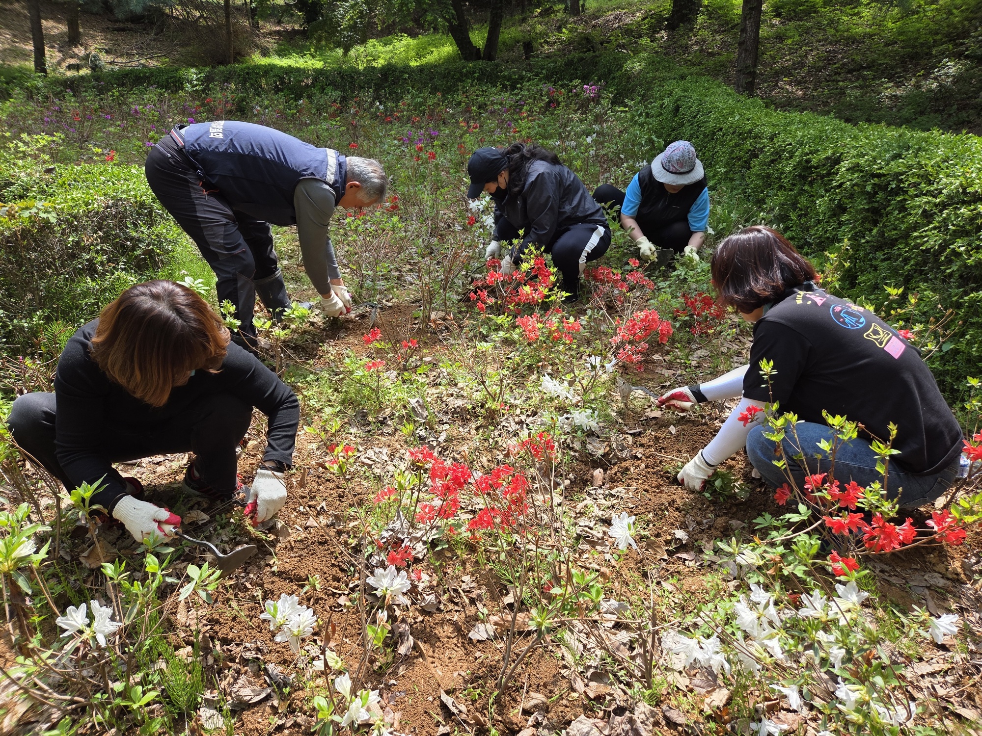 안산시 백운동 주민자치회, 백운공원 환경정비 실시
