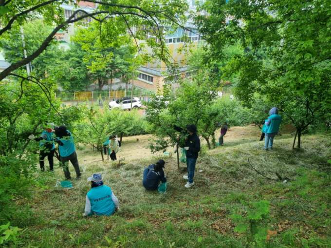 안산시 이동,‘2025년 매실따기’행사 성료… 함께 가꾼 매화동산