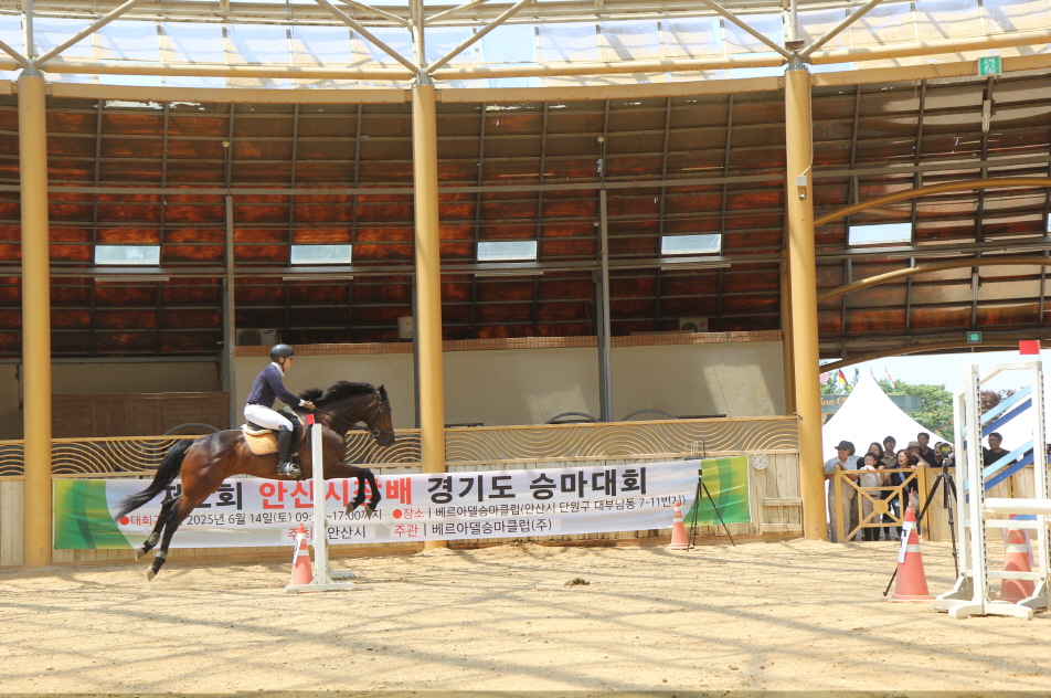 안산시, 제2회 시장배 승마대회 성공 개최… 안산 소속 선수 다관왕