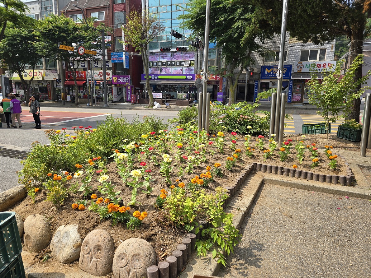 안산시 선부2동, 여름꽃 심어 주민에 아름다움 선사
