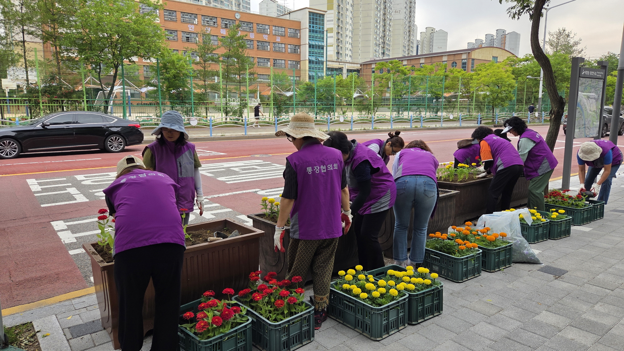 안산시 해양동, 화사한 여름꽃으로 새단장