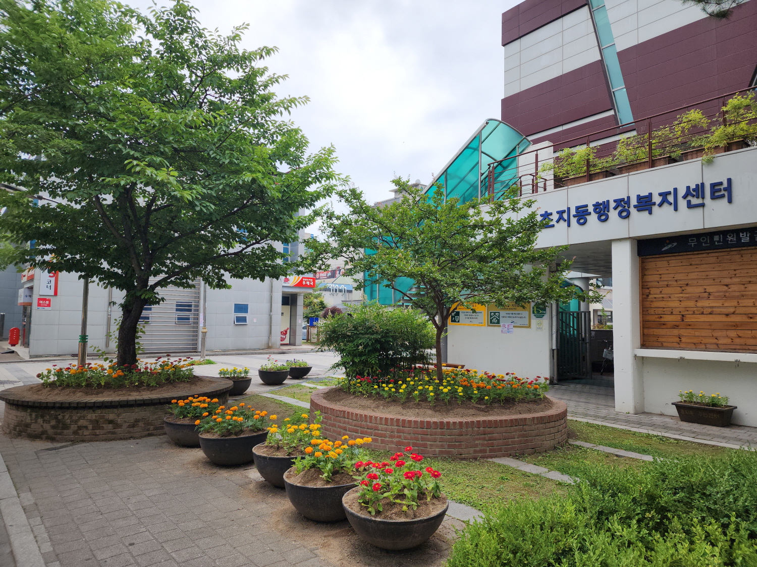 안산시 초지동, 주민들에게 청사 주변‘꽃길’선사