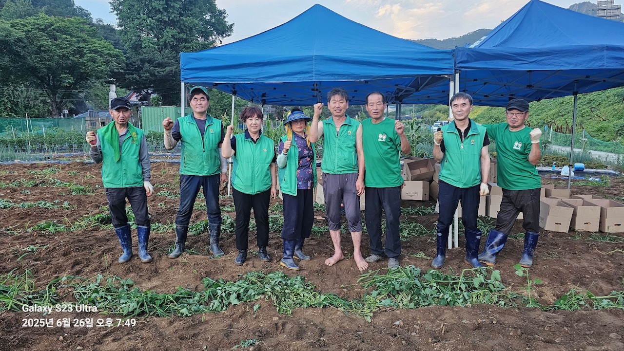 안산동 새마을회, 사랑의 감자 나눔 