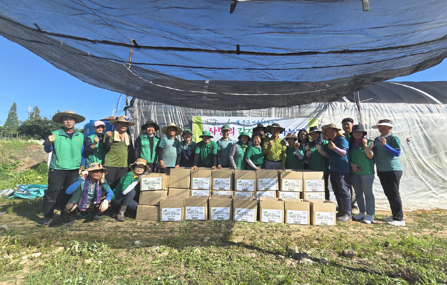 안산시 와동 새마을회, 감자 수확해 행복 나눔 실천