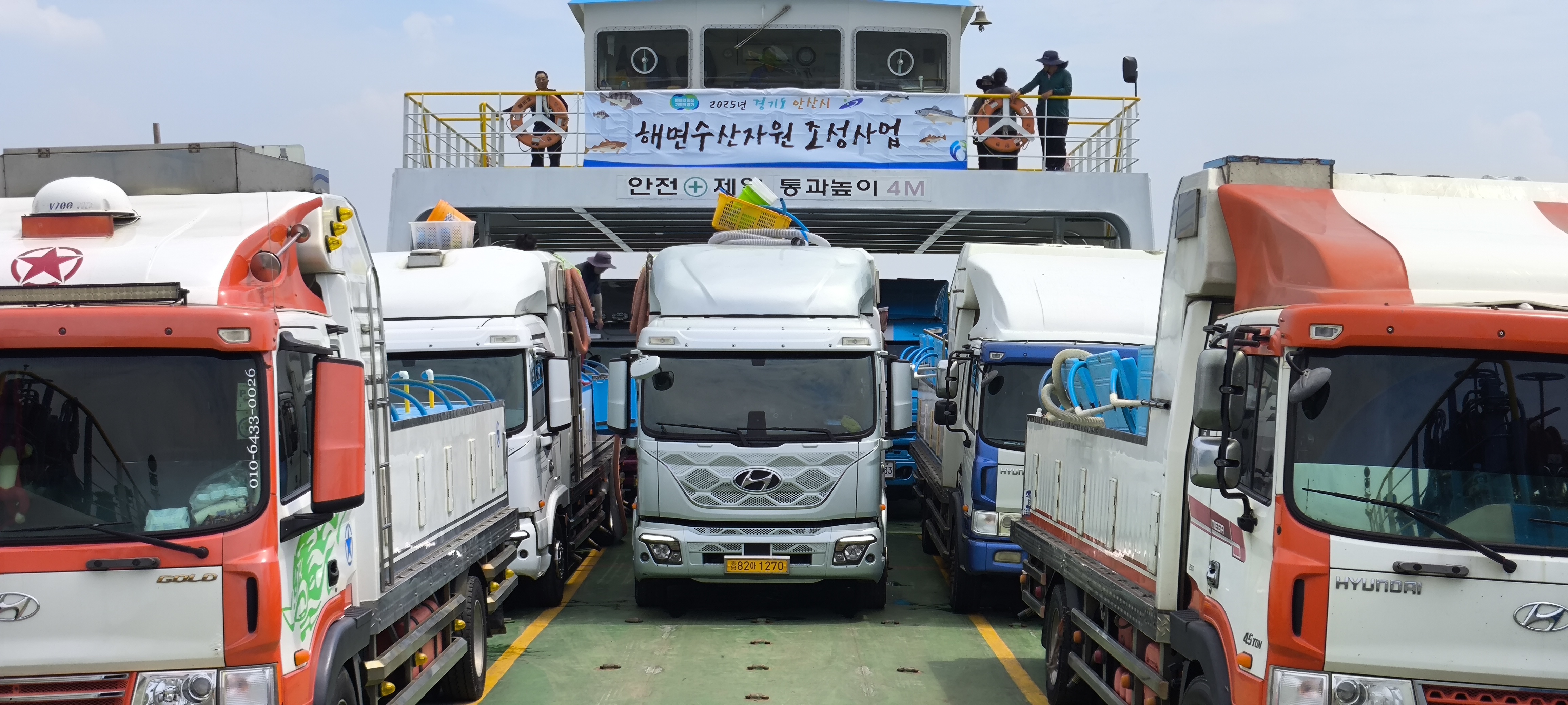 안산시, 대부도 연안 해상에 조피볼락 치어 방류… 수산자원 증대