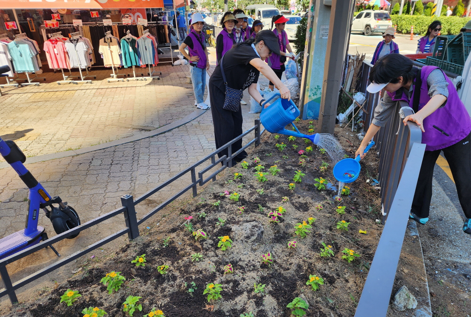 안산시 백운동 통장협의회, 가을꽃으로 물든 마을풍경 조성