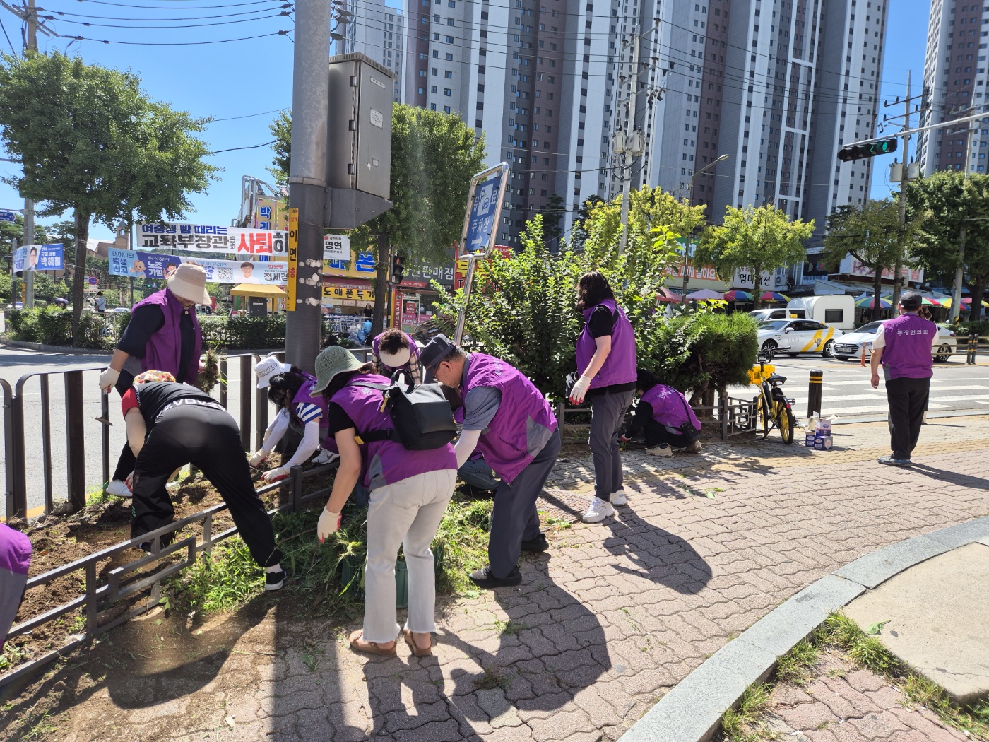 안산시 백운동 통장협의회, 가을꽃으로 물든 마을풍경 조성