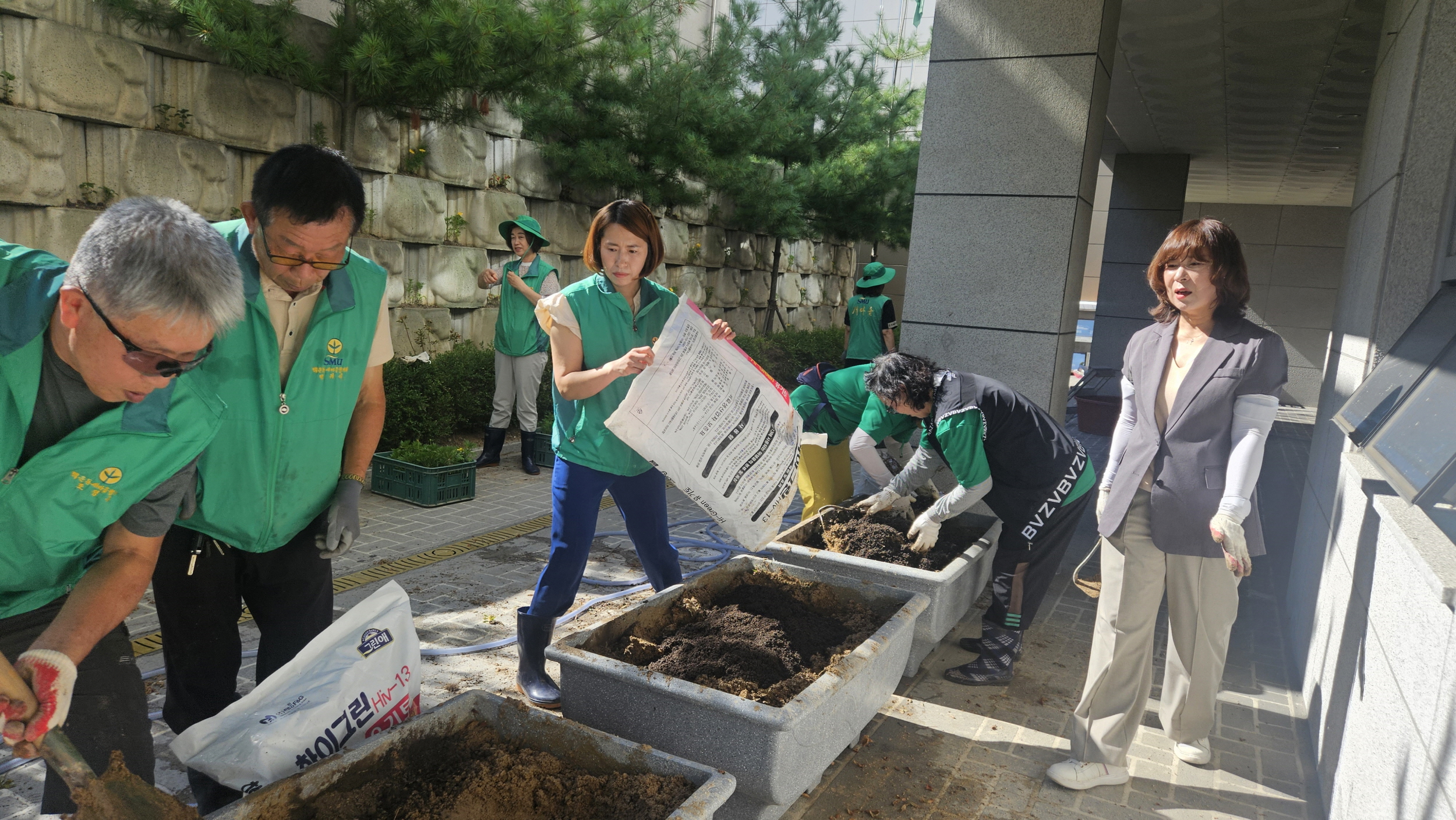 안산시 백운동 새마을회, 신선한 가을꽃 화단 조성