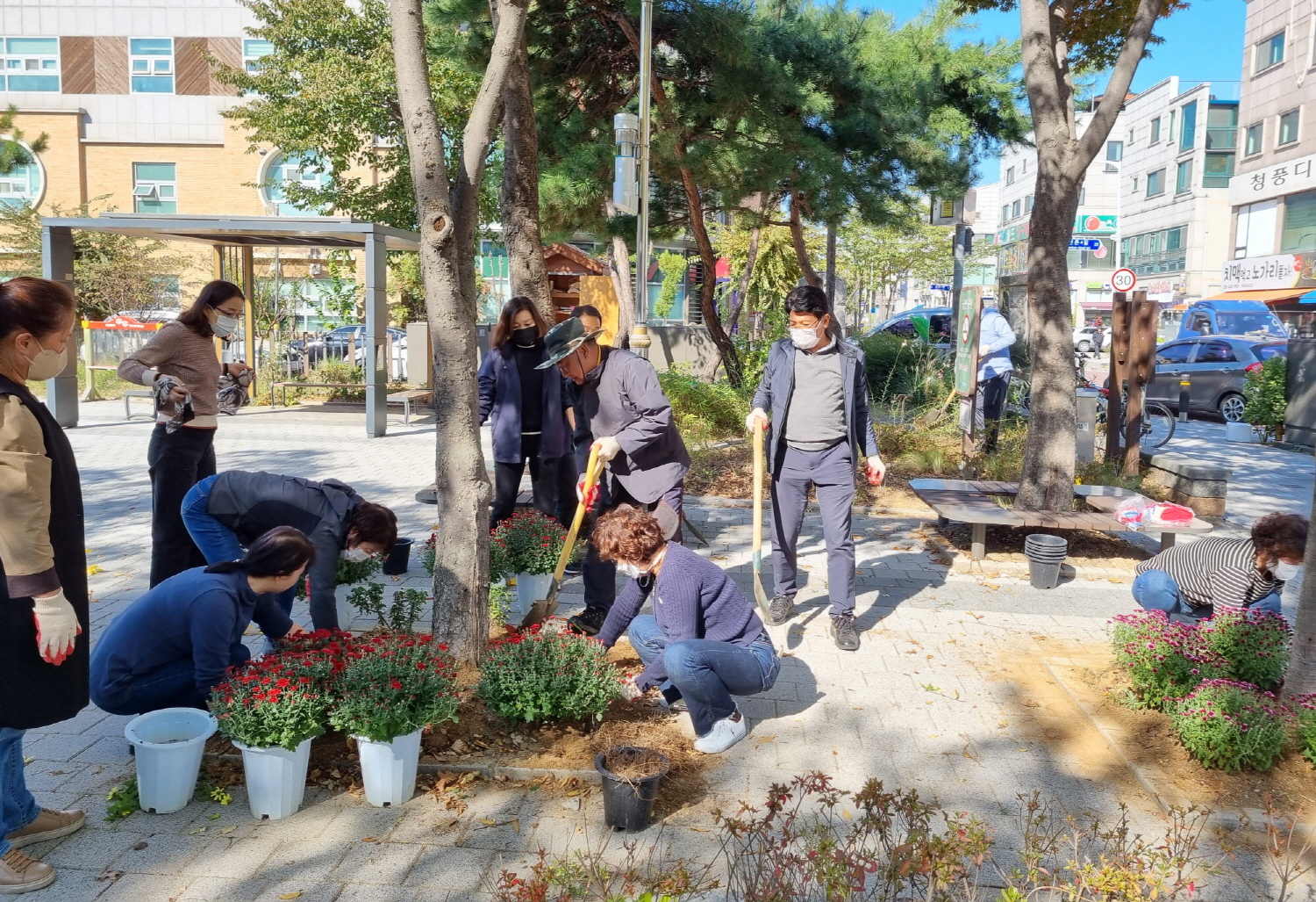 안산시 초지동 “행복을 나누는 초지마을 파도정원에 꽃구경 오세요.”