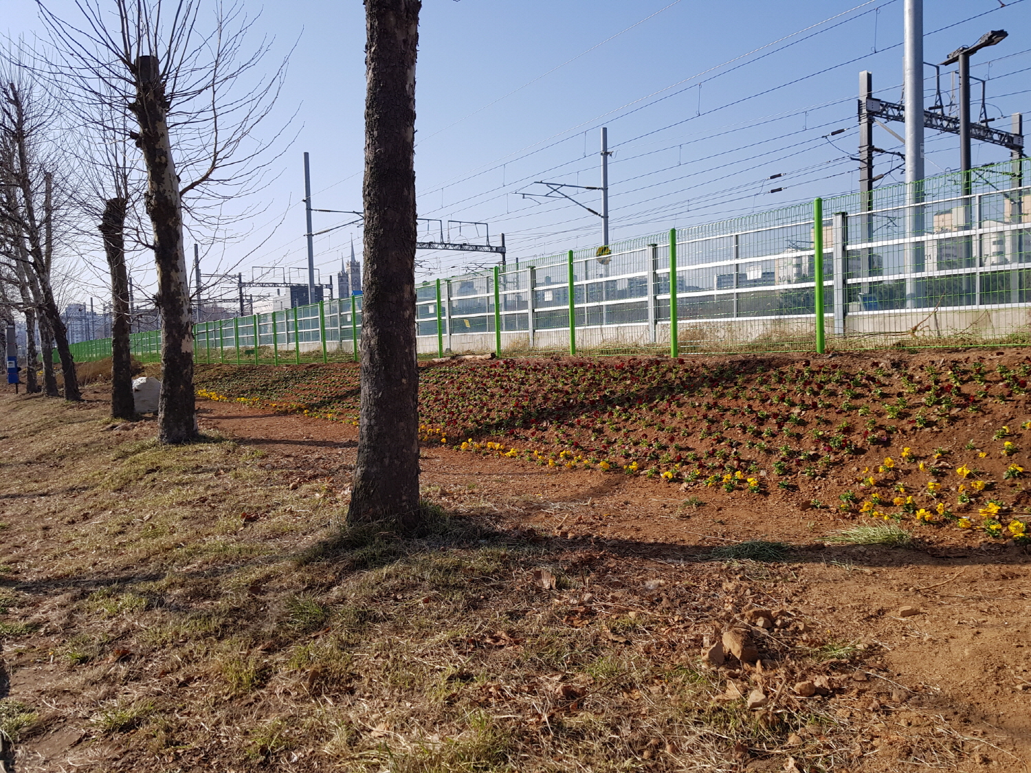 안산시 이동, 한대앞역 유휴부지 봄꽃으로 수놓아