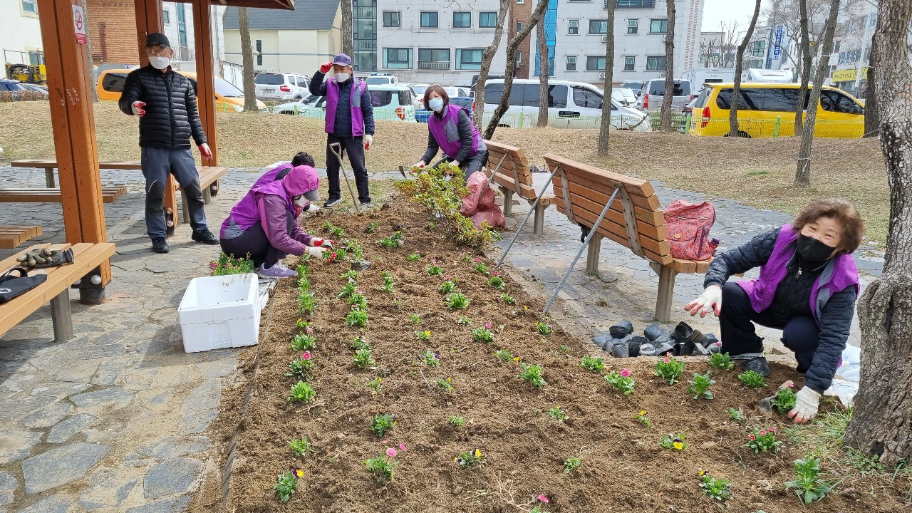 안산시 이동, 봄 향기 가득한 꽃길 조성