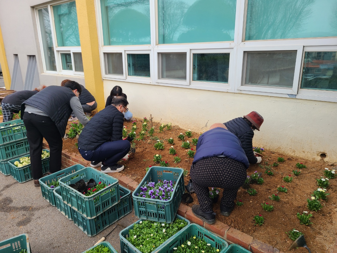 안산시 대부동, 봄꽃 식재로 청사에 봄 향기 가득