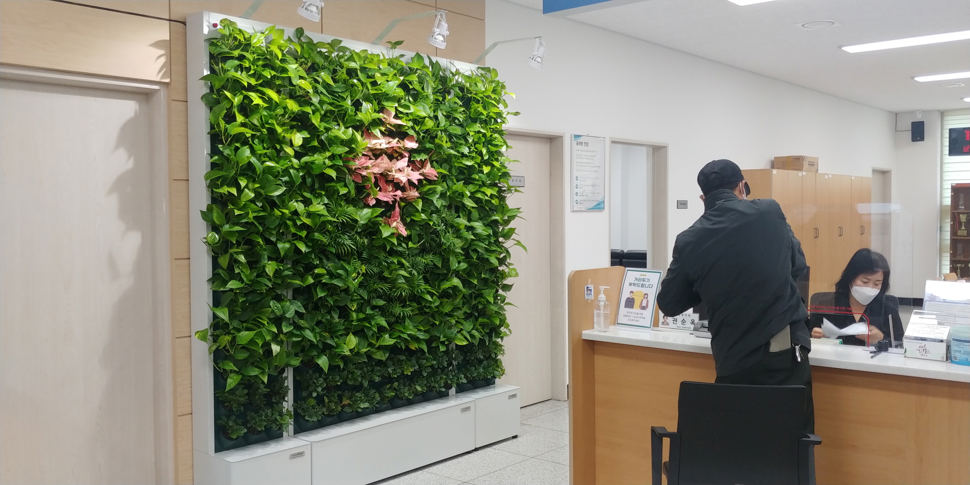 안산시 백운동, 실내에서 즐기는 숲 체험