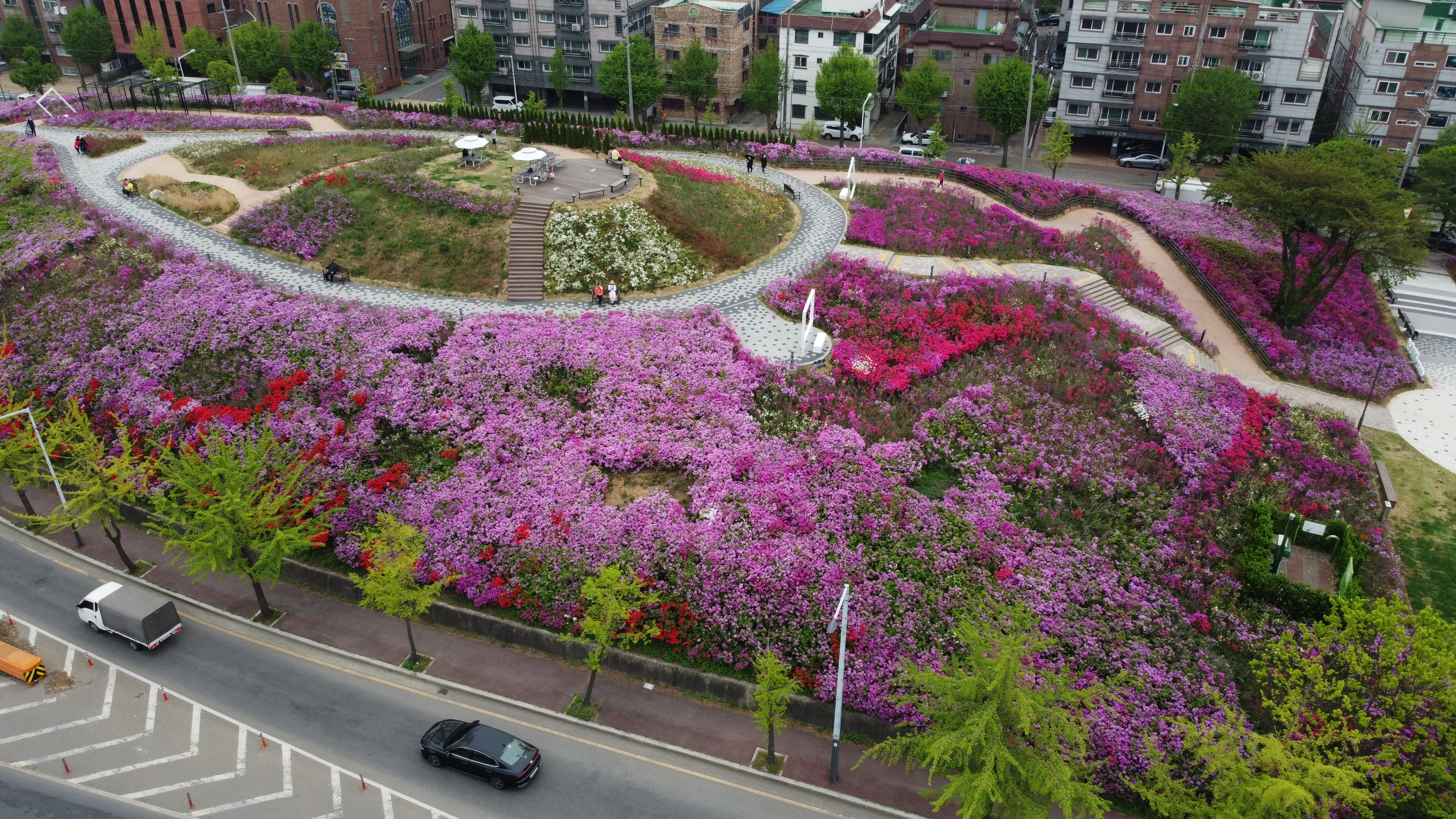 안산시 성호공원 철쭉동산에 이어지는 상춘객들