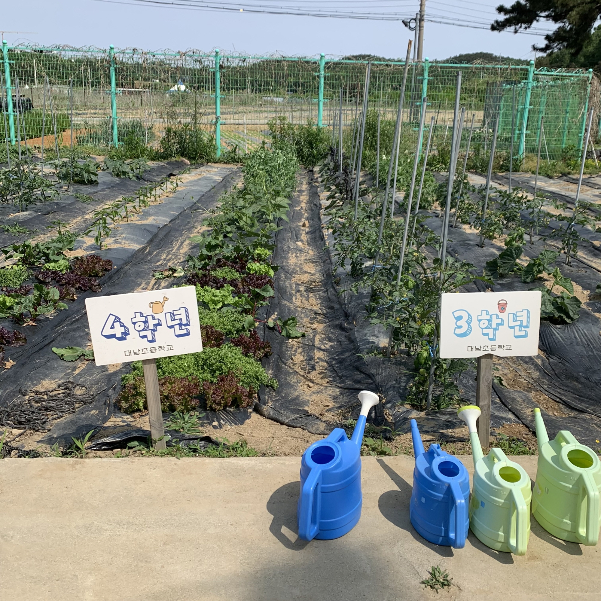 안산시, 도시 농업 활성화 위해 텃밭 교육 프로그램 실시