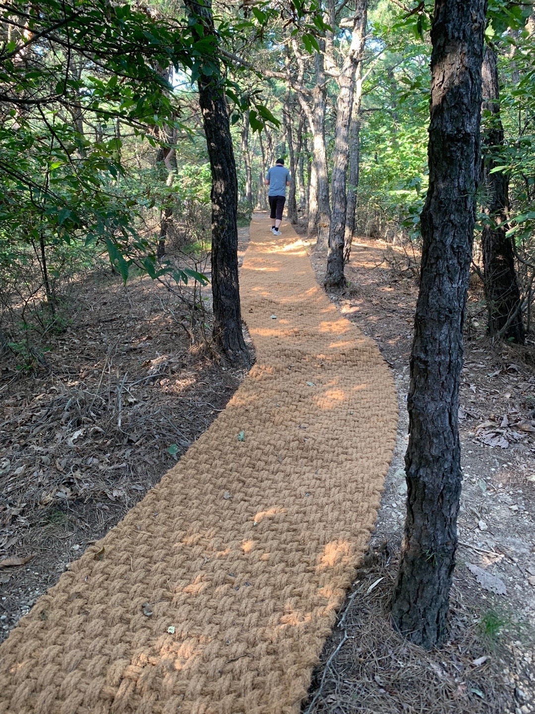 안산시, 사동공원 보행매트 설치…주민불편 해소 위해